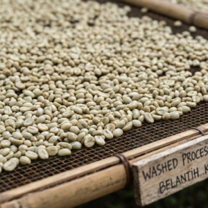 Kintamani Green Beans - Washed Process